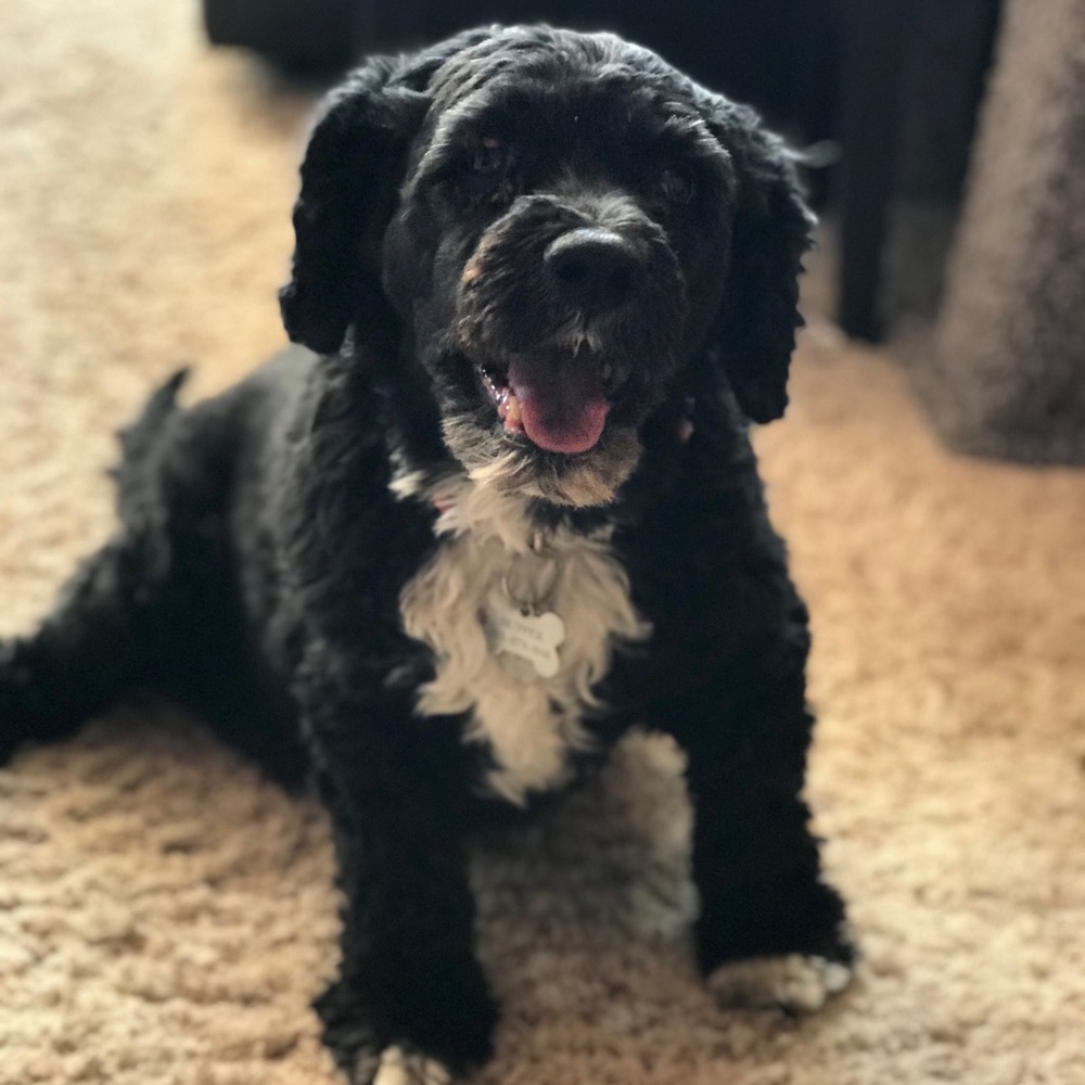 Hello 🥰 - Picture 6 of 8